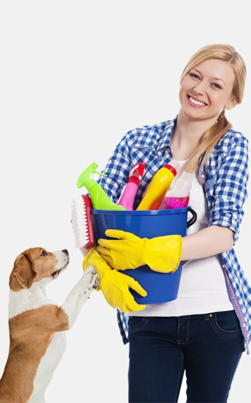 Pet Friendly House Cleaning Services in near Arlington Heights IL