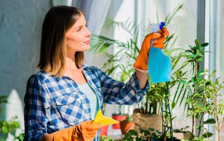 Spring Cleaning Services in & near Arlington Heights, IL
