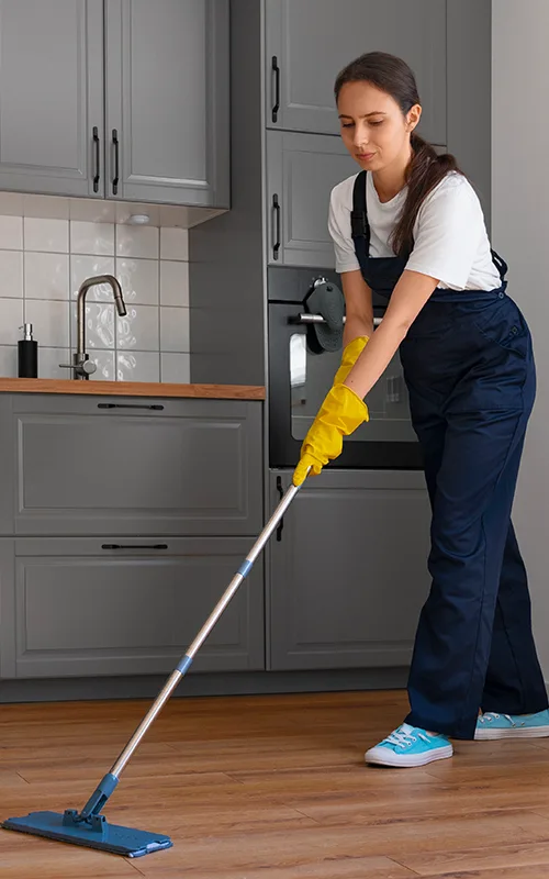 Hawthorn Woods, IL Cleaning Services